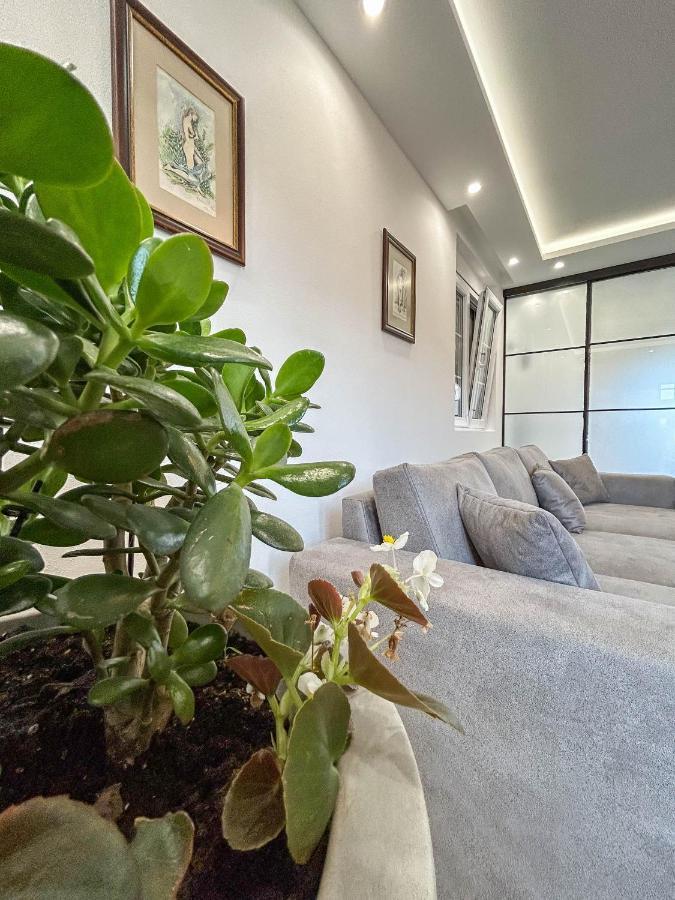 Sunrise Apartment Kotor Extérieur photo