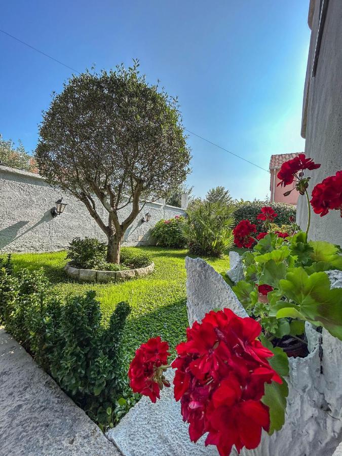 Sunrise Apartment Kotor Extérieur photo